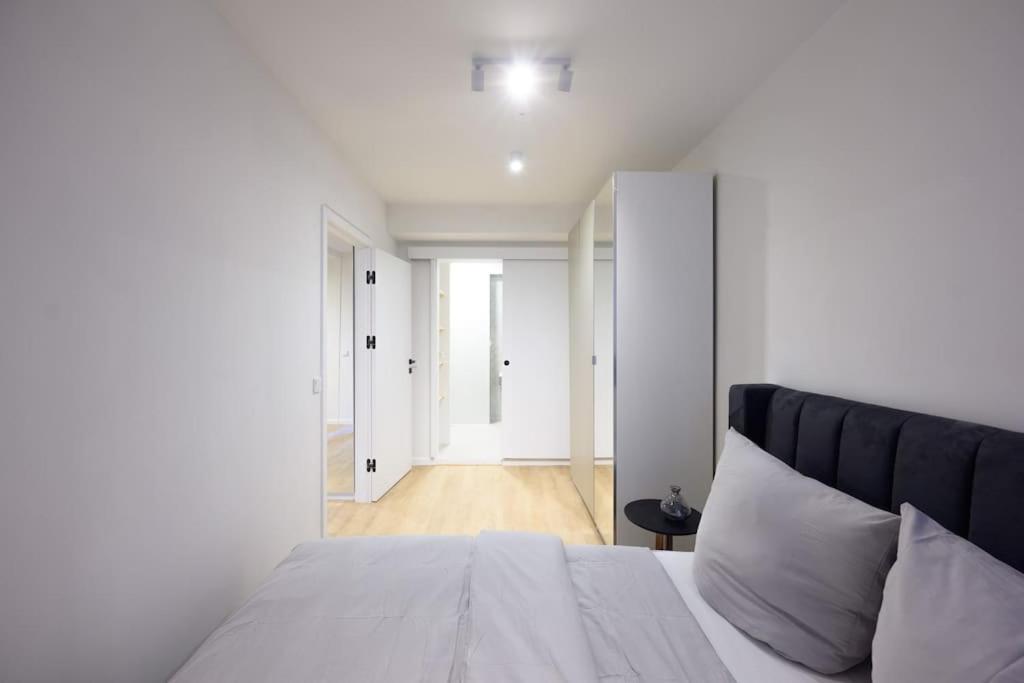 Apartment Huge Designer In Mitte 120 Sqm